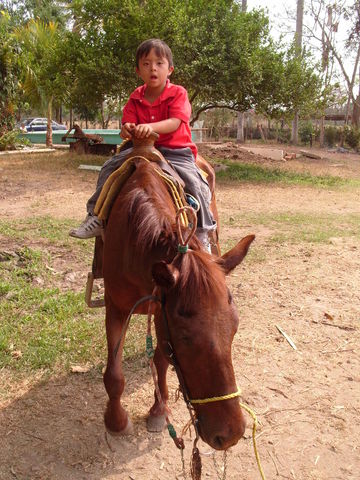 Sin Nombre